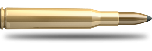 Náboj SB 270 Win. Nosler Partition 8,4 g NSR 16322